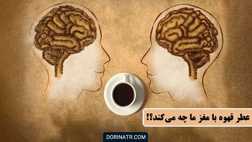عطر قهوه با مغز ما چه می‌کند؟ - بهترین عطرها با رایحه قهوه - درین عطر
