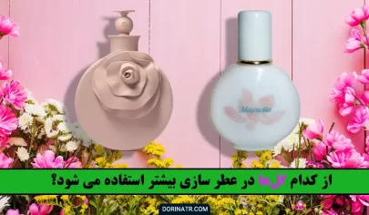 از کدام گل‌ها در عطر سازی بیشتر استفاده می شود