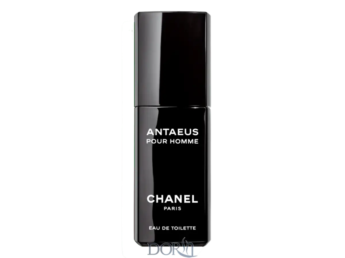 عطر ادکلن شنل آنتئوس -Chanel Antaeus - بهترین عطر شنل - معرفی بهترین عطر و ادکلن های برند چنل (Chanel) - معرفی و بررسی 8 عطر پرطرفدار زنانه و مردانه از شانل - درین عطر